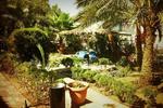 Arava Hostel - Image 5