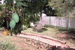 Photos of Hostal El Papillon
