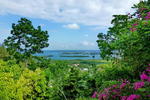 Cedar Ridge Lodging - Image 10