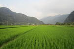 Guest House Puli - Image 10