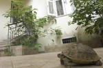Split Guesthouse & Hostel - Image 2