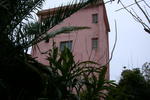 La Cruz del Sur - Image 5