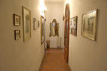 Palazzo Buonaccorsi - Image 2
