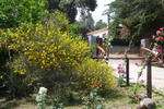 Casa Solotti - Image 2