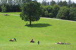 Muckross Stables Farm House - Image 2