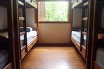 Safari Hostel - Image 5