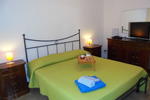 B&B Pintaderas - Image 5