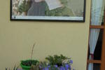 B&B Pintaderas - Image 7