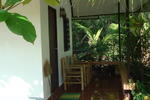 The Bananas - Image 3
