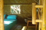 The Bananas - Image 5