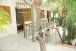 Hostal Arrecifes Cartagena - Image 7