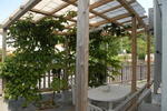 Okinawa Resort - Image 9