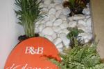 B&B DolceVita - Image 7