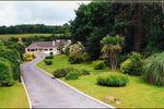 Pineforest Bed & Breakfast - Image 2