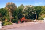 Pineforest Bed & Breakfast - Image 3
