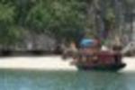 Photos of Duc Tuan Hotel Cat Ba Island