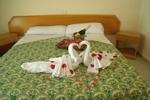 Hostal Tahiti - Image 6