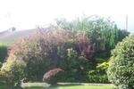 Suncrest - Image 3
