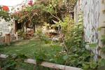 Thefunkymonkeyhostel - Image 7