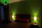Wild Rover Backpackers Hostel - Image 7