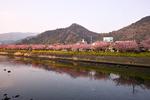 Photos of Guesthouse Sakuramine