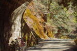 Photos of Guesthouse Sakuramine