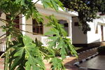 Furaha Resort - Image 6