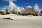 Maison Tulum - Image 10