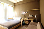 Hide - Image 5
