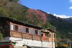 Tiger Leaping Gorge Janes Tibetan Guesthouse - Image 2