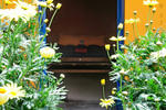Bacoo Hostel - Image 3