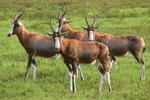 Santa Paloma Guest Farm - Image 5
