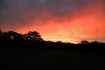 Santa Paloma Guest Farm - Image 9
