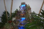 Photos of Constanza Hostal