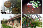 Ming Courtyard - Image 10