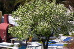 Caveland - Image 6