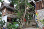 Hostal El Pelicano