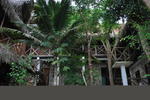Hostal El Pelicano - Image 2