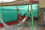 Hotel Puerto lindo - Image 6