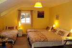 Photos of Hollywood Bed and Breakfast