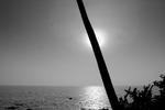 Waves Beach Resort - Image 5