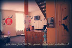 Photos of Casual Hostel