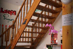 Photos of Casual Hostel