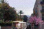 Photos of Comte de Nice