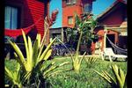 Photos of Hostel El Nagual