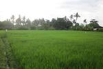 Photos of Mumbul Guesthouse