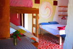 Photos of The Funky Dodo Backpackers Hostel