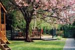Sea Dew Guesthouse - Image 2