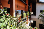 Hostel Ibiza Canoa Quebrada - Image 3