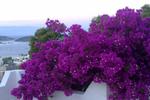 Panorama Hotel Bodrum - Image 6